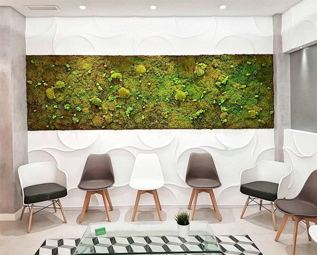 sala de espera decorada con musgo natural